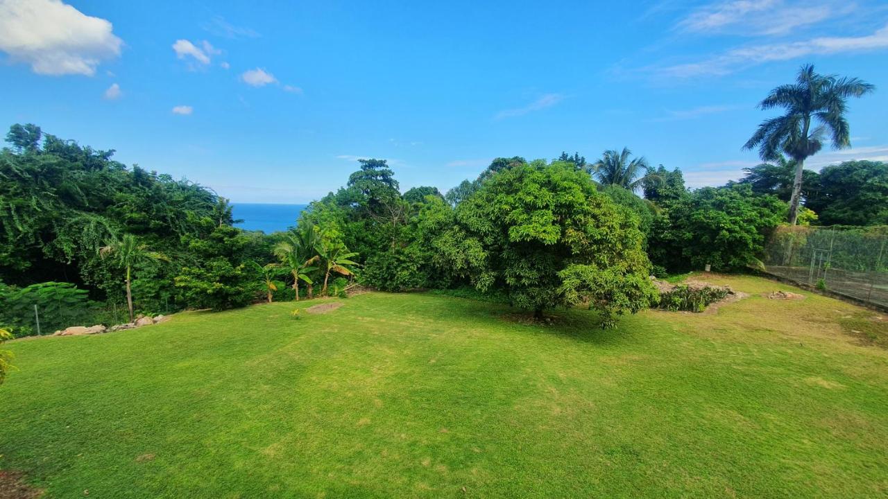 Villa Dianna - Entire Villa, Roof Terrace, Pool, Garden, Sea Views Near Dunn'S River Ocho Rios Exteriör bild